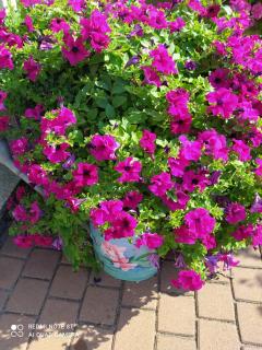 Kreativ Ferienwohnung Domizil der Sinne - 7