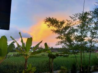 Langkawi Country Lodge2 - 1