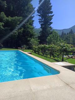 IL Bosco di Campo Marzano Sunlight - 3