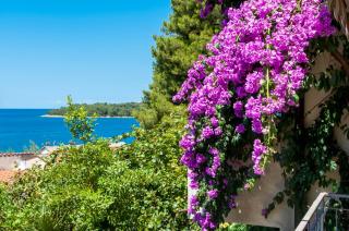 Up to 11 people,near beach and centre - Rovigno (Rovinj) - 0