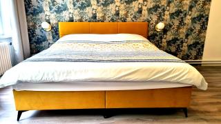 Luxury Three-Bedroom Apartment - Teplice - 1