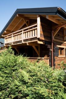 Le Petit Chalet de Montriond - Montriond - 3