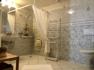 Gîte 11 pers - Cadre magnifique - Morbier - 1