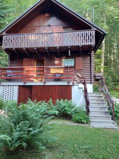 Janezova koča Sviščaki - Ilirska Bistrica (Bisterza) - 9