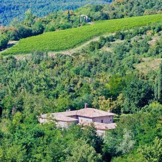 Agriturismo Ca' Verde - SantʼAmbrogio di Valpolicella - 1