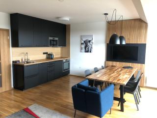 Apartmán O18 - Kleč - Horní Mísečky - 9