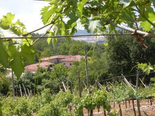 Agriturismo Ca' Verde - 0
