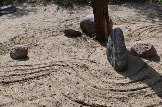 CasaSana Wellness - 1