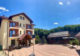 Pensiunea 7 Brazi II - 3