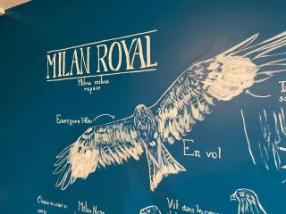 Le Milan et son bain nordique privatif - Camous - 4