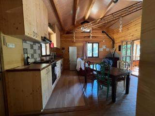 Rustic Cabin in the Woods/Cabaña en el bosque - Amer - 4