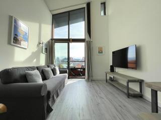 Penthouse Apartment w/ Parking - Sheffield - 7