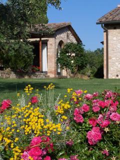 Poggetto di Montese - San Gimignano - 2