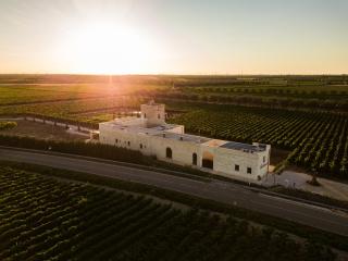 Masseria Torleanzi Wine Relais - San Pietro Vernotico - 0