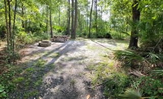 Okefenokee Pastimes Cabins and Campground - Stanley Landing - 4