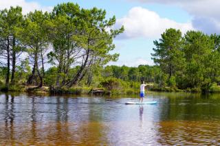 Appartement COSY avec piscine, accès direct plage - 1