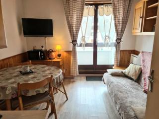 Bel appartement Samoens La Cour classe 2 etoiles - 3