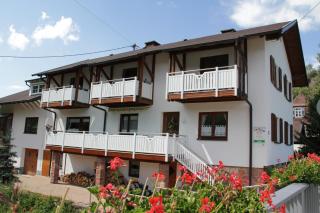 Schöne Ferienwohnung im Nationalpark nördlicher Schwarzwald - Forbach - 0