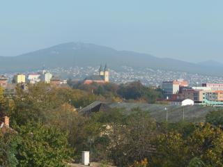 Penzion Premona - Nitra - 8