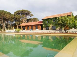 Casas do Pinheiro Grande - Fornos de Algodres - 6
