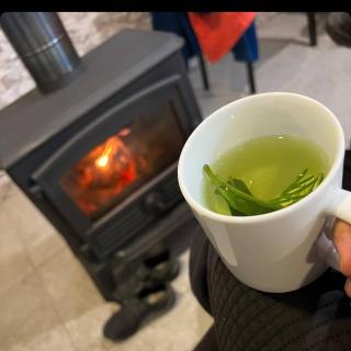 Old Tower Guesthouse - kafe ushguli - Ushguli - 4