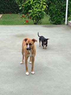 Kitchenette near the Beach/including Breakfast - 8