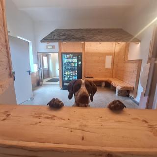 Wurzelrudis Hostel - 1