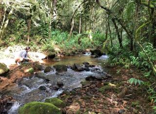 Chalé Bela Magia - Bocaina de Minas - 7