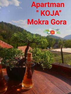Apartman Koja - Mokra Gora - 9