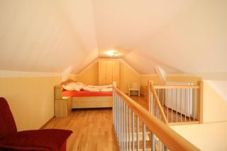 Pichlhof Apartments - Comfort Near Planai - Schladming - 8