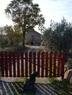 Retiro da Lameira - Seia - 6