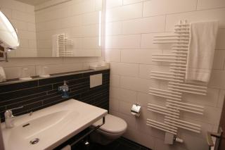 Hotel Eremitage - Arlesheim - 9