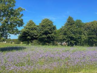 4 person holiday home in Skärhamn-By Traum - 5