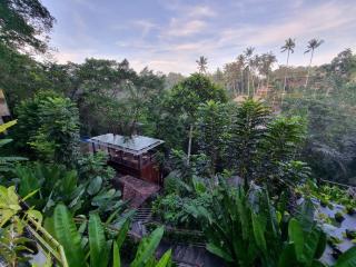 The Sebali Resort - Ubud - 6