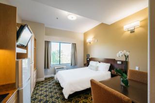 Studios Inn - San José - 2