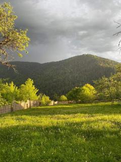 House in Little Mitarbi - - 7
