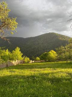 House in Little Mitarbi - - 4