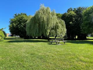 L'orée du parc - Retiers - 3