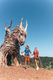 Al Sole Mountain Chic - Folgaria - 4