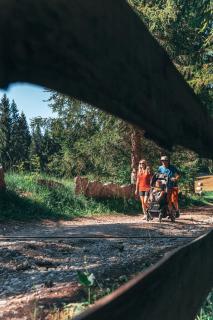 Al Sole Mountain Chic - Folgaria - 1
