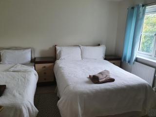 Delux Spacious Villa - Inverness - 4
