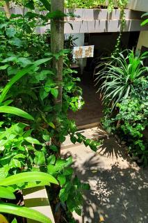 Siem Reap Tevi Residence - Siem Reap - 7