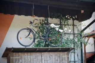Gartenwohnung im Gut Sonnenwald - Schöllnach - 8