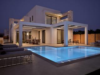 Anthis Luxury Villas - A Haven of Serene Modern Elegance, by ZanteWize - Zakynthos Town - 3