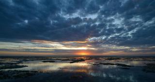 AFYA Village at the sea - Michamvi Kae - 4