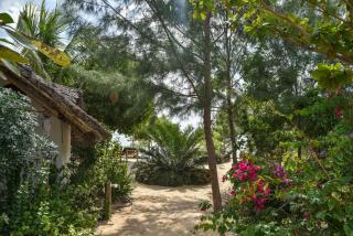 AFYA Village at the sea - Michamvi Kae - 3
