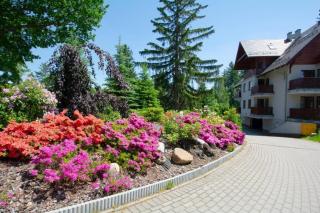 Apartament Polana-Karpacz - Karpacz - 9