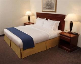 Holiday Inn Express and Suites Urbandale Des Moines by IHG - Urbandale - 8