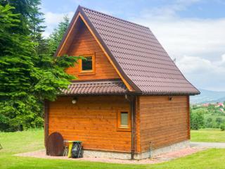 Domek letniskowy Biedówka - 9