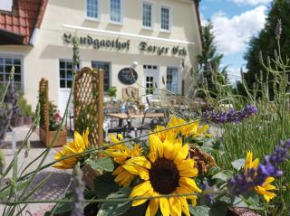 Pension Landgasthof Darzer Eck - Altenhof - 0